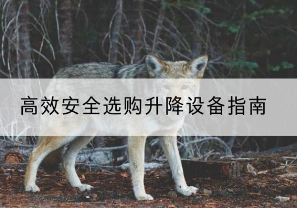 安州升降货梯厂家推荐-*安全选购升降设备指南