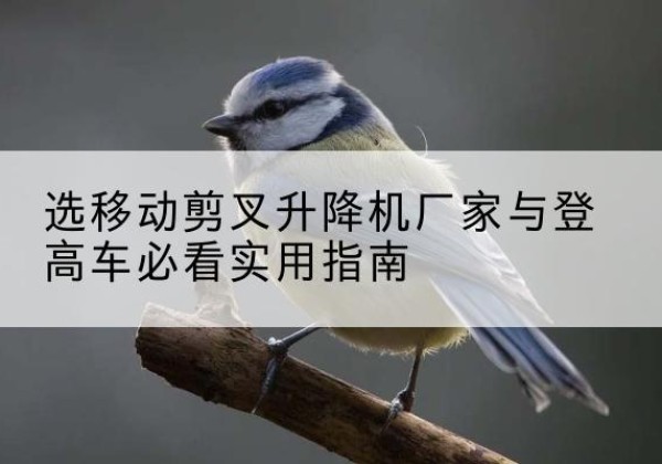 安州电动升降机厂家-选移动剪叉升降机厂家与登高车必看实用指南