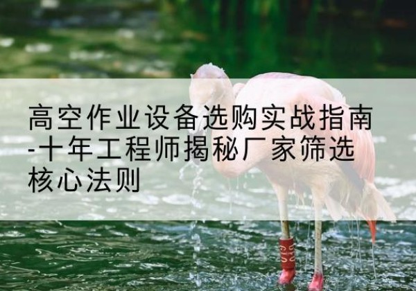 安州剪叉式升降机厂家-高空作业设备选购实战指南-十年工程师揭秘厂家筛选核心法则